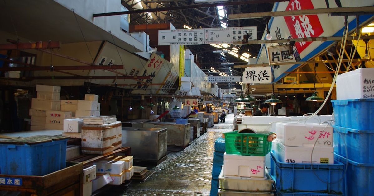 日本集運推薦2026：從費用到清關的聰明選擇指南